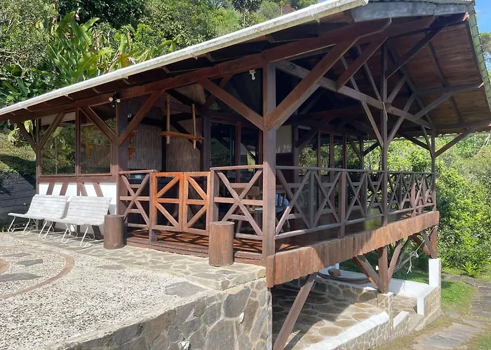Duck House Sasaima