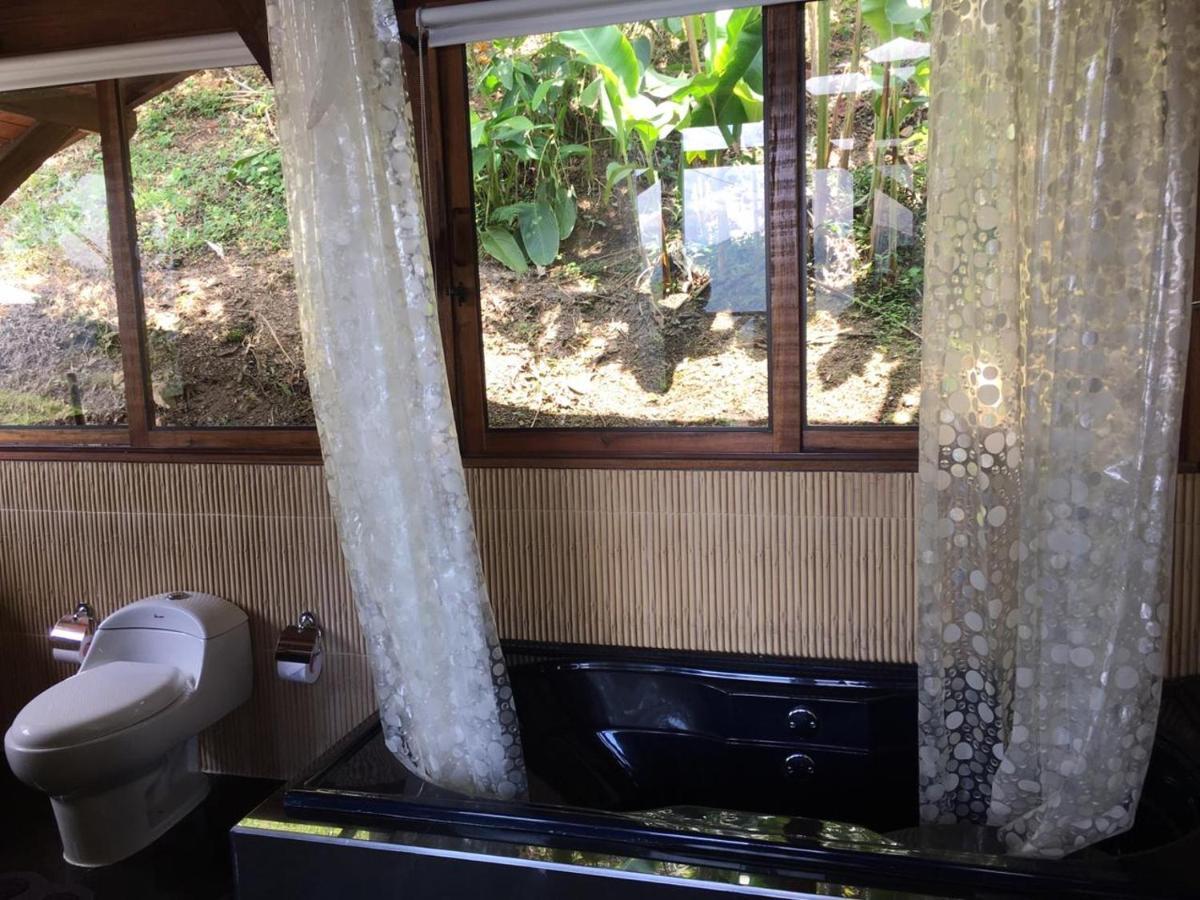 Chalet Duck House