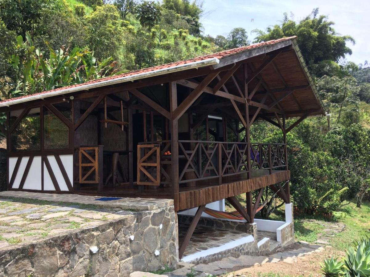 Duck House Chalet