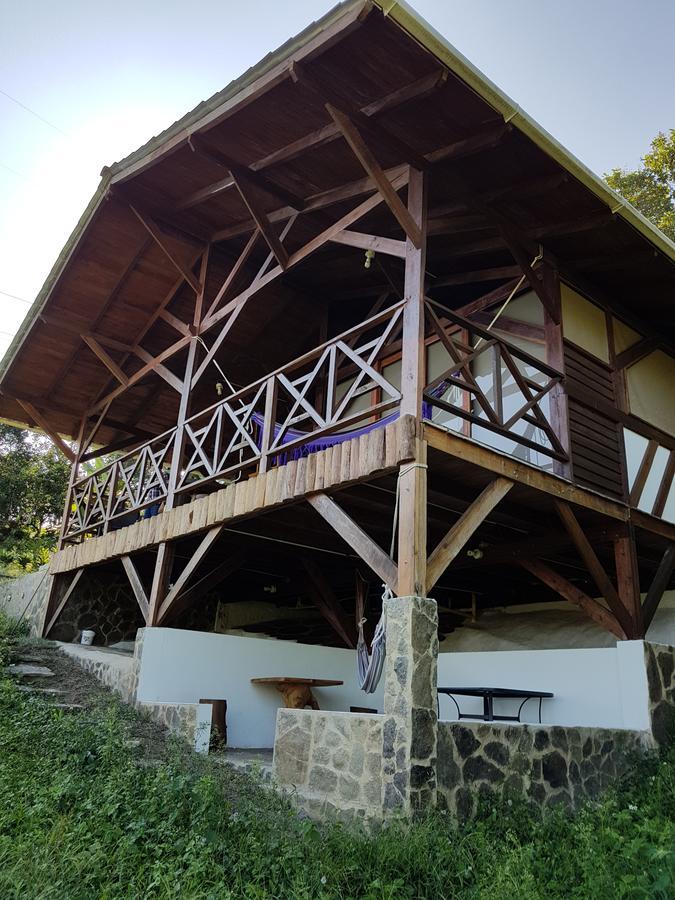 Duck House * Sasaima