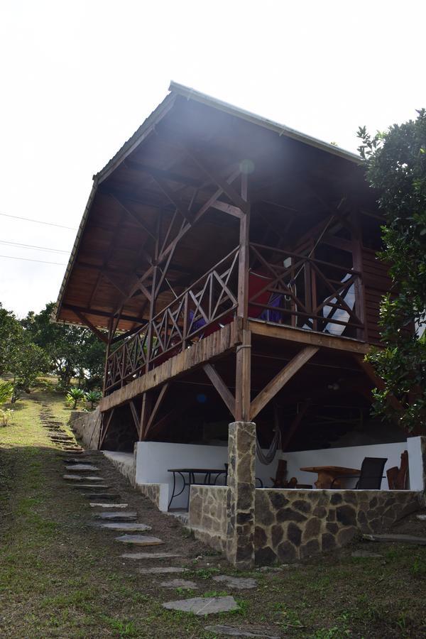 Chalet Duck House *